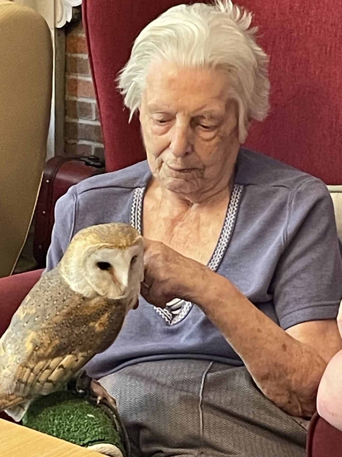 An elderly person sitting in an armchair shares a gentle moment with a perched owl during its visit, conveying a sense of serenity and companionship between human and bird.