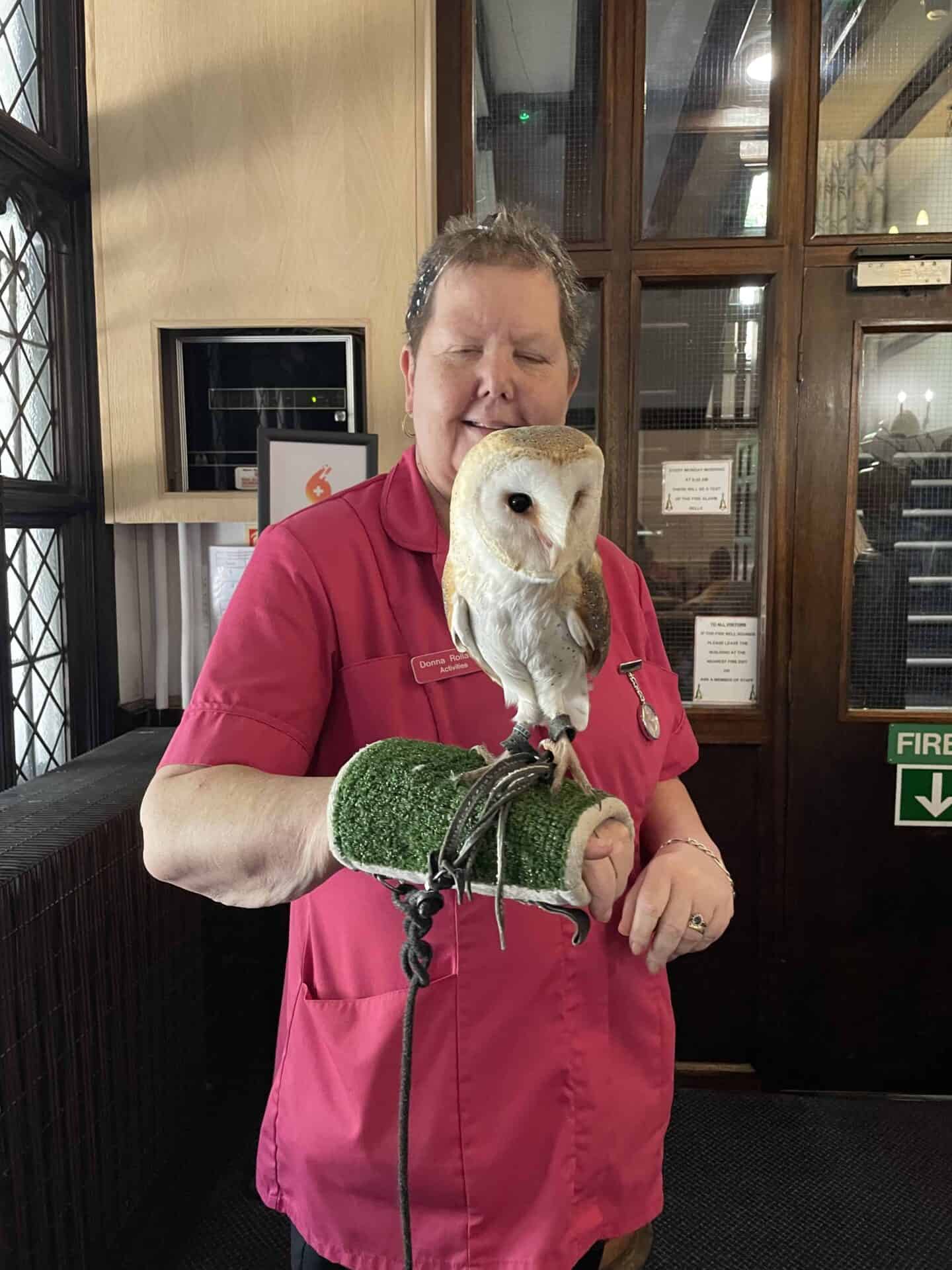 A person in a pink shirt presenting a beautiful barn owl perched on their gloved hand indoors during a Birds of Prey visit.